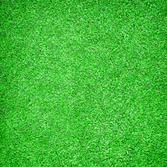 Plakat Beautiful green grass texture