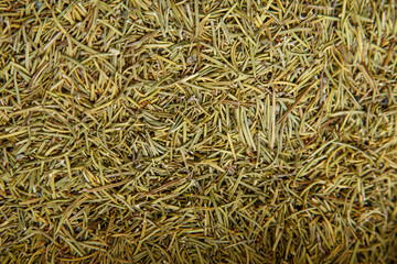 Rosemary dry prepared for cook