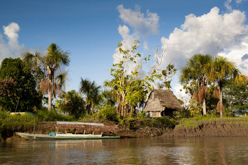 Authentic village in the Amazon rain forest near Iquitos, Peru
