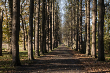 Landschaften im Herbst