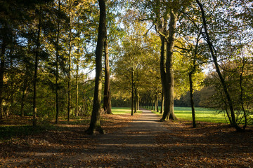 Landschaften im Herbst