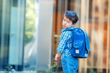 Portrait of cute school boy with backpack