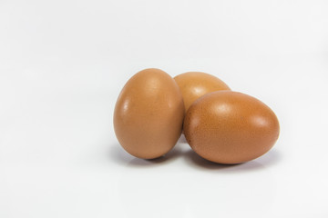 Egg isolated