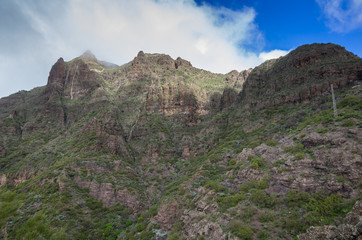 Fototapeta premium Tenerife