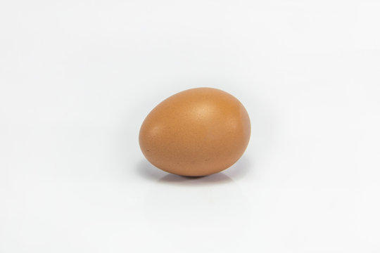 Egg isolated