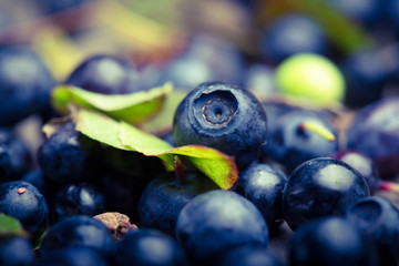 blueberries on a table