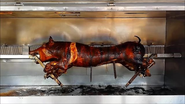 Ferkel