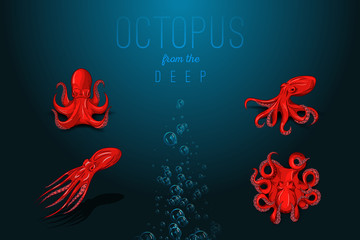 Isolated octopus with shadow. Hand drawn original close up vector illustration.