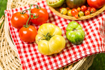 Heirloom Tomatoes