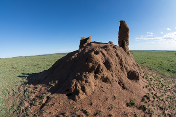 Fototapeta na wymiar Giant Termite mound