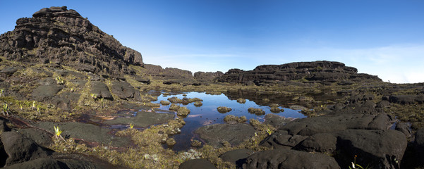 Summit of Mount Roraima, strange world made of volcanic black st