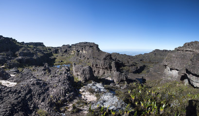 Fototapeta na wymiar Summit of Mount Roraima, strange world made of volcanic black st