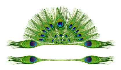 Fototapeta premium Peacock feathers on white background