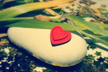Fotobehang Red heart lying on a rock in the grass © korionov