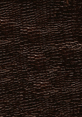 texture of a black leather