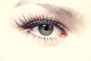 Obraz premium Female green eye close up