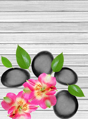 Black spa stones and pink orchid on white wooden background