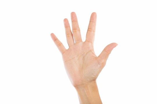 Woman hands on white background