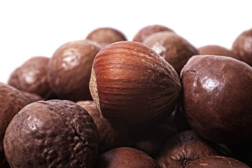 hazelnuts isolated on white background