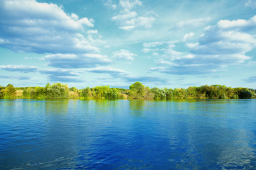 river with green trees on summer day