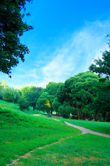 Fototapeta na wymiar Green forest with blue sky and clouds on a summer day