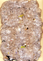 Texture of a wet cardboard