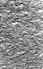  structure of Foil