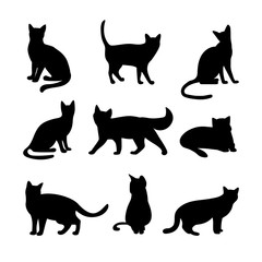Cats silhouettes