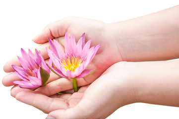 lotus flowers on hand