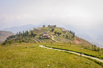 Resort and Rice Paddy fields