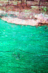 Painted Old Wooden Green Wall with sand on it