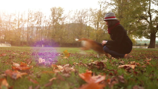 Female playing with beagle puppy dog in autumnal park