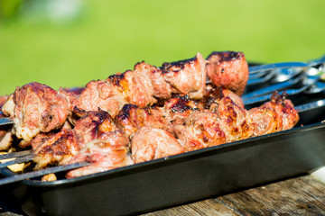 Grilled Meat and Mushroom Kebab