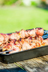 Grilled Meat and Mushroom Kebab