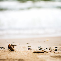 Fototapeta na wymiar Sandy Beach, Pebbles and Sea on the Background