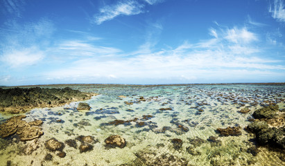 Coral view
