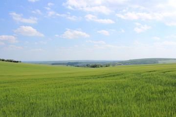 Obraz na płótnie Canvas チェコ共和国のモラヴィア大草原