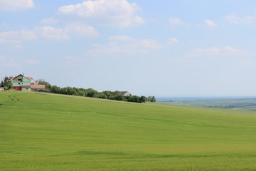 Fototapeta na wymiar チェコ共和国のモラヴィア大草原