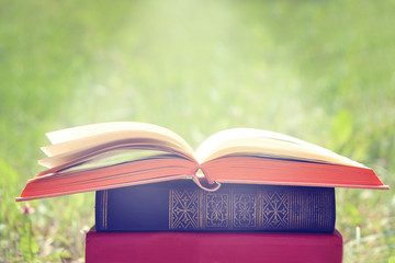 Open book on nature background. Knowledge is power