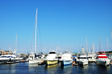 Fototapeta na wymiar Yacht marina in yokohama, Japan
