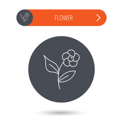 Flower with petals icon. Plant with leaves sign.