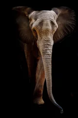 Zelfklevend Fotobehang Elephant © art9858