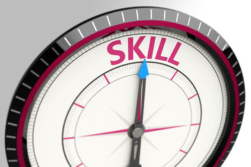 Skill as a concept word