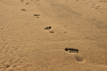 Fototapeta na wymiar A sand texture with kid footprints 