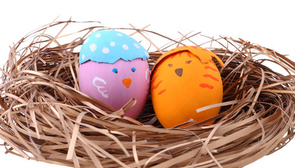 Color paint easter eggs in the nest on white background.