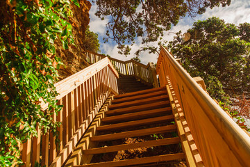 descent to the sea, Whangaparaoa Peninsula, New Zealand