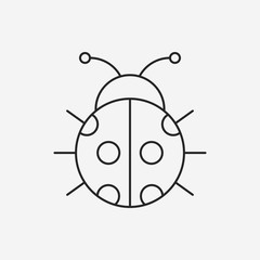insect line icon