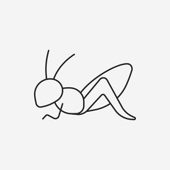 insect line icon