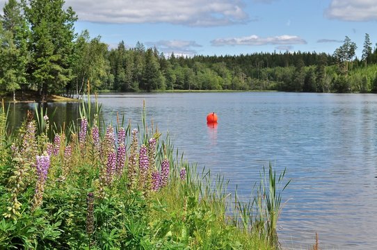Schwedischer See in Smaland, S&uuml;dschweden