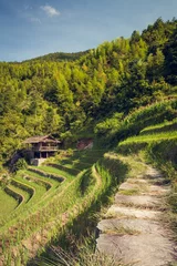Keuken spatwand met foto Longsheng rice terraces guilin china landscape © Juhku